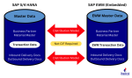 Options for deploying SAP Extended Warehouse Management (EWM) with S/4 HANA